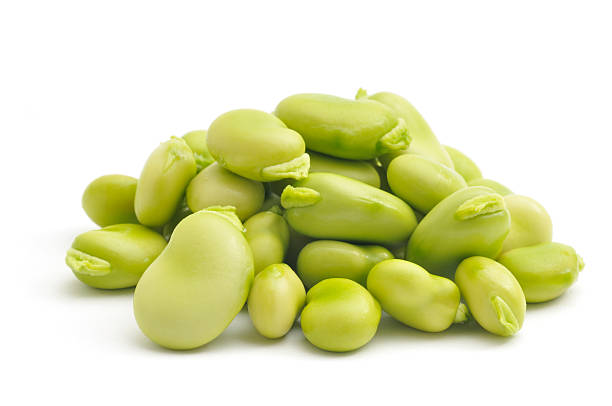 Pile of Broad Beans(Fava Beans) "A close up shot of a pile of Broad Beans, fresh out of the garden, isolated on white." broad bean stock pictures, royalty-free photos & images