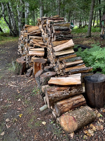 Woodpile in the woods. Cut down trees ready for firewood. Outdoor