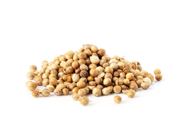 Pile of Coriander seeds Pile of Coriander seeds isolated on white background coriander seed stock pictures, royalty-free photos & images