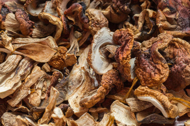 Pile of dried forest mushrooms. Sliced Boletus edulis. Christmas mushrooms stock photo