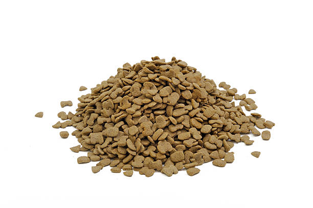 pile of dried pet food , dog food stock photo