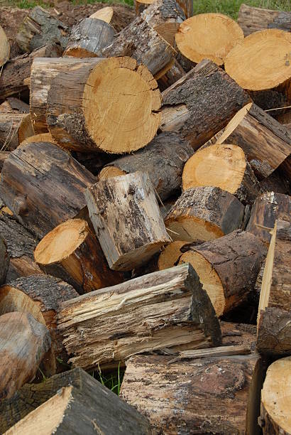 pile of firewood stock photo