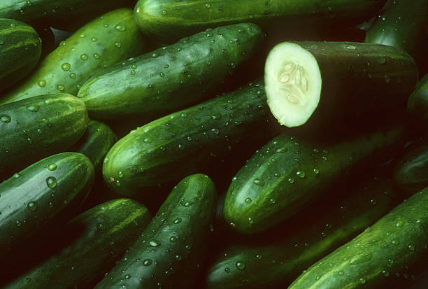 Pile of fresh cucumbers with one cut open A pile of fresh cucumbers lying diagonally with drops of water with one cut open cucumber stock pictures, royalty-free photos & images