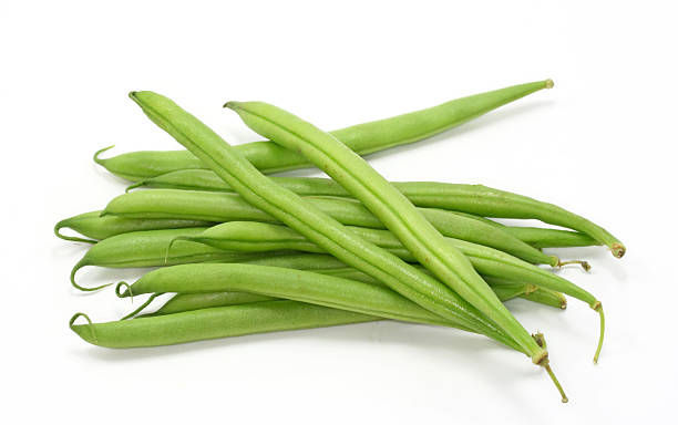 Pile of freshly picked green beans stock photo