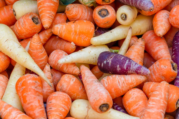 Pile of purple, orange and white Chantenay carrots stock photo