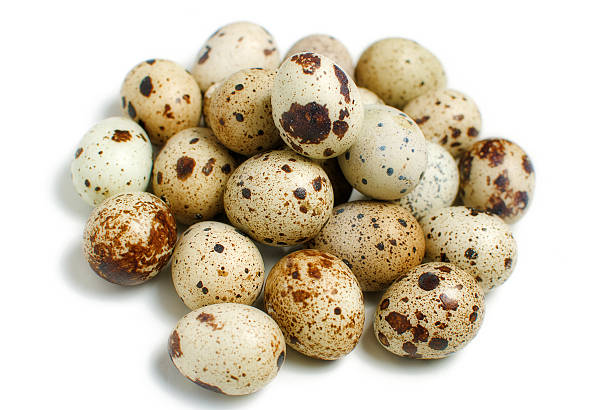 Pile of quail eggs stock photo
