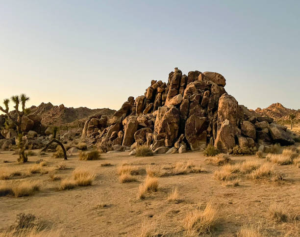 Pile of Rocks at Joshua Tree stock photo