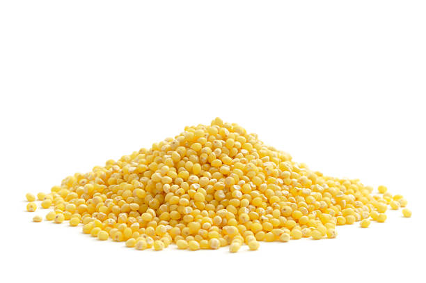 A pile of the food millet on a white background  stock photo