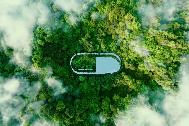 A pill-shaped water surface in the middle of lush nature serving as a metaphor for alternative healing and nature-based medicines. 3d rendering. stock photo