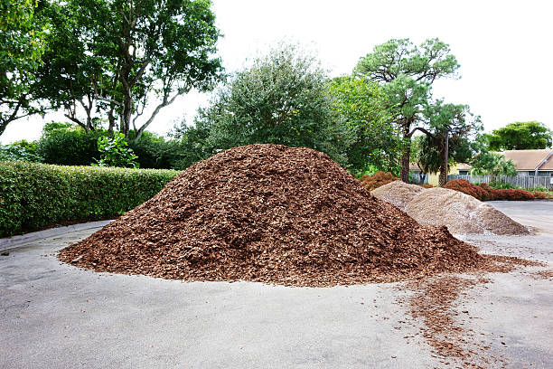 Pine bark mulch A large pile of shredded pine bark has been dumped in a parking lot for use in landscaping. In the background are smaller piles of a lighter color mulch. Overcast day. mulch stock pictures, royalty-free photos & images