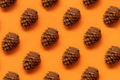 istock Pine cone pattern 1344454800