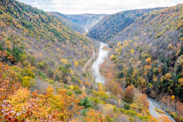 Pine Creek Runs Through the Grand Canyon of Pennsylvania's Fall Colors stock photo