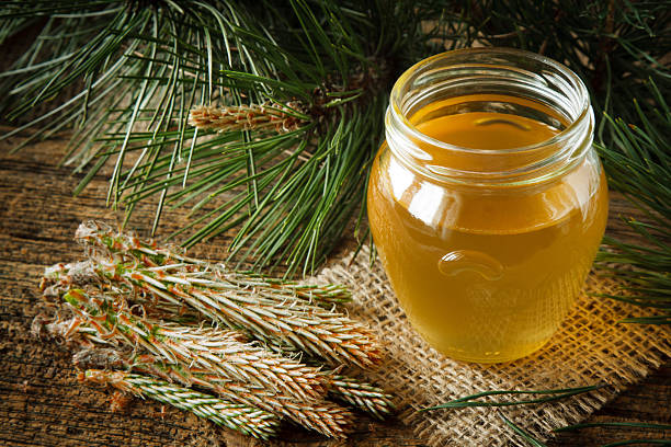 Pine syrup stock photo