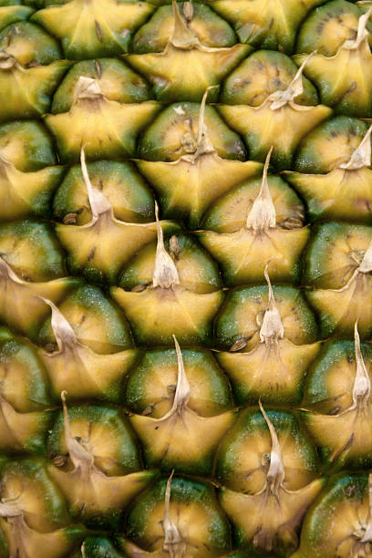 Pineapple Close-Up stock photo
