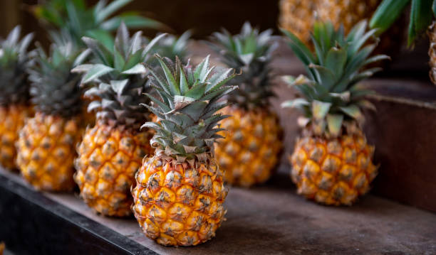 ananasfrucht und flache schärfentiefe. - pineapple plantation stock-fotos und bilder