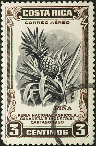 pineapple growing on the plant, old Costa Rican stamp stock photo
