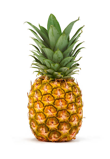 pineapple isolated /file_thumbview_approve.php?size=2&id=25117340  pineapple stock pictures, royalty-free photos & images