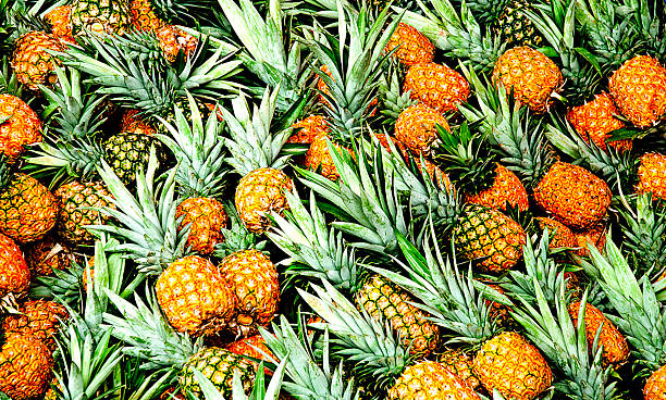 ananasplantage-costa rica - pineapple plantation stock-fotos und bilder