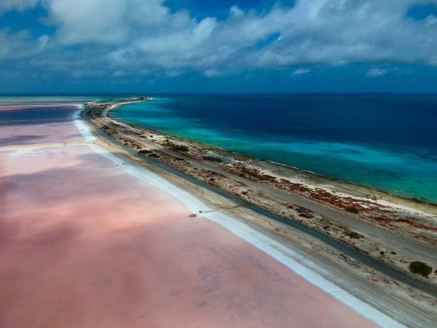 Pink Beach stock photo