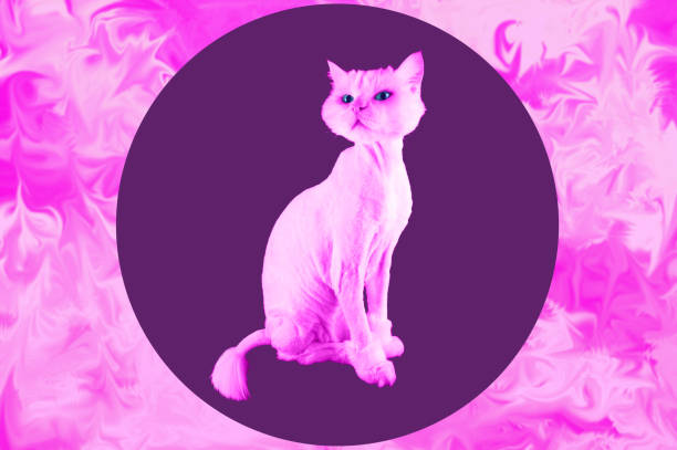 gato rosado. retro onda sintetizador vaporwave retrato de un gato gracioso. collage de arte contemporáneo. - cat vaporwave fotografías e imágenes de stock