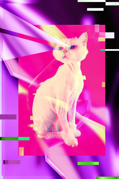 gato rosado. retro onda sintetizador vaporwave retrato de un gato gracioso. concepto de carteles estilo memphis. - cat vaporwave fotografías e imágenes de stock