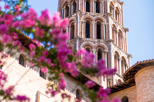 Pink flower contrasting with the red bricks of the Basilica of Saint-Sernin, Toulouse