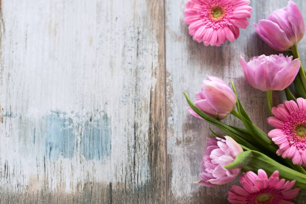 Pink flowers on old gray wood Pink tulips and gerbera on old gray wood for a mothers day decoration mothers day background stock pictures, royalty-free photos & images