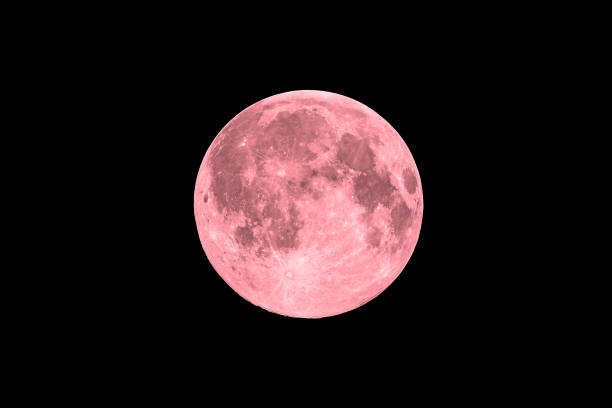 Pink full super moon on black sky background stock photo