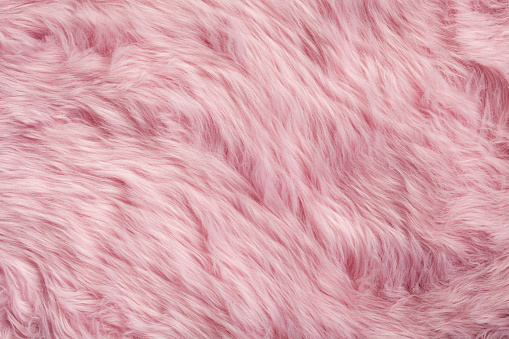 Pink Fur Background Stock Photo - Download Image Now - Animal Hair, Fur