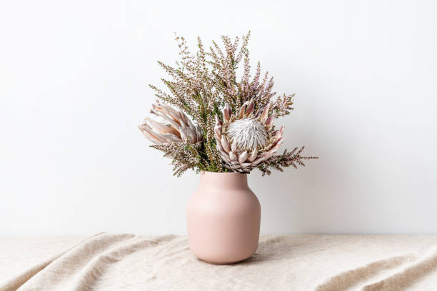 Pink King proteas and white flowers, in a stylish pink vase Beautiful floral arrangement including beautiful dried pink King Proteas and delicate thryptomene flowers, in a stylish pink vase, on a rustic table cloth. dried plant photos stock pictures, royalty-free photos & images