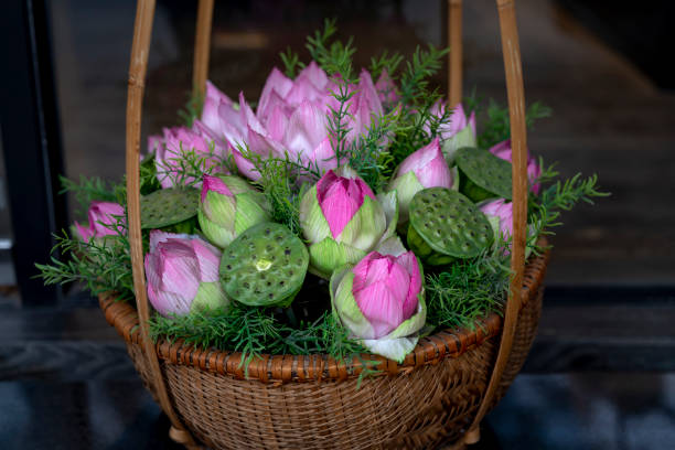Pink Lotus flower is decorated on the bamboo basket stock photo