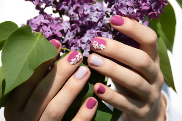 Pink nail design. Female hand with pink manicure holding purple lilac. stock photo