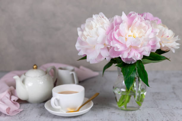 Pink peonies in jug with teapot and cup stock photo