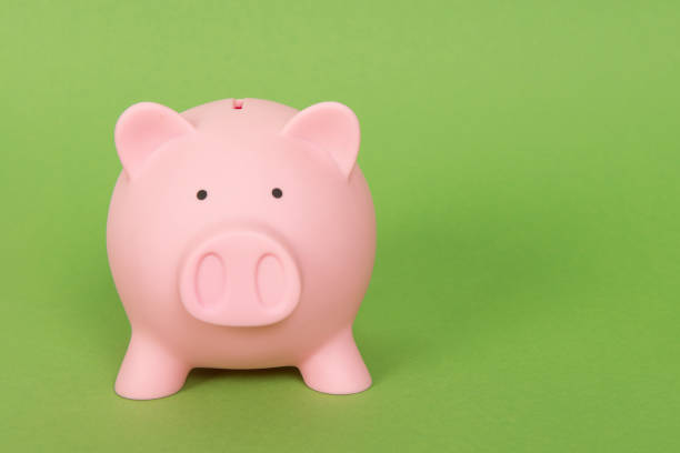 Pink piggy bank on a green background stock photo