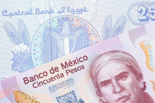 A pink, plastic fifty peso bank note from Mexico paired with a blue twenty five piastre bank note from Egypt. stock photo