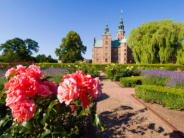 Pink rose and Rosenborg castle stock photo