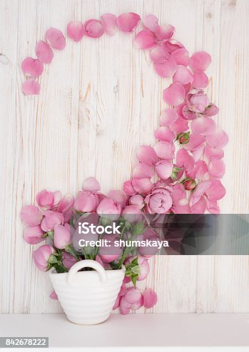 istock Pink Rose Beauty 842678222