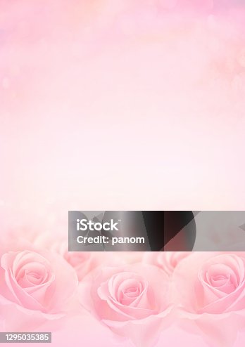 istock Pink Rose flowers with blurred sofe pastel color background for love wedding and valentines day. 1295035385