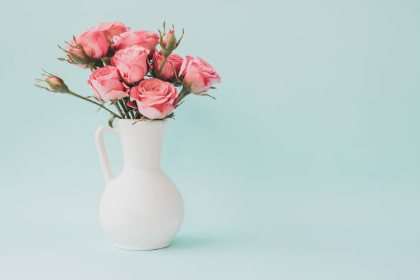 Pink roses in white vase on light blue background Bouquet of pink roses in white vase on light blue background. Copy space aqua menthe photos stock pictures, royalty-free photos & images