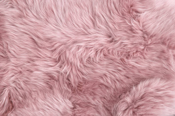 розовый мех овец натуральный текстура фона овчины - мех стоковые фото и изображения