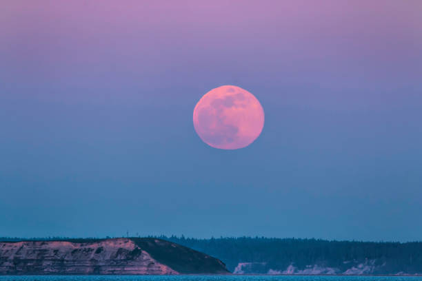Photo of Pink supermoon rising over Protection Island