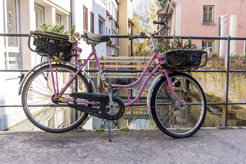 pink vintage bicycle with flowers on the front and on the back in baskets