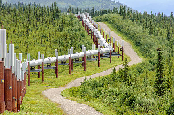 Pipeline Close Up in Green Forest stock photo