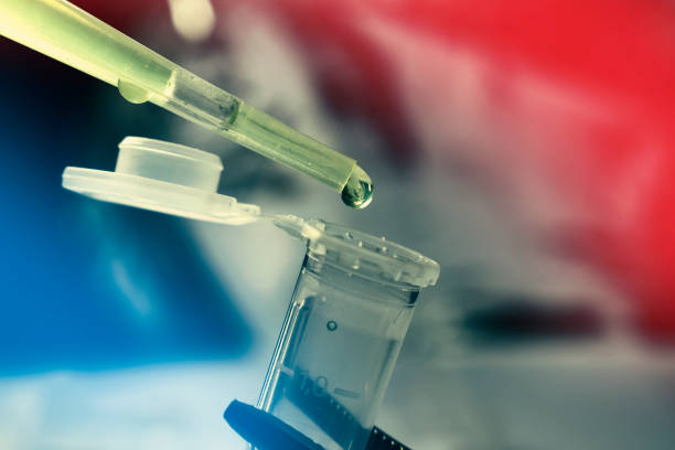 Pipette drop of stem cells stock photo