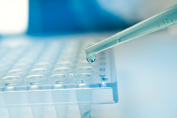 Pipette dropping stem cell research fluid on pcr plate. Medical stock photo