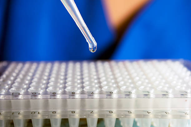 Pipette Dropping Stem Cell Research Liquid stock photo