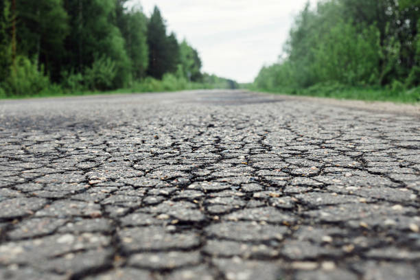 Pits of water on the cracked asphalt road in the forest stock photo