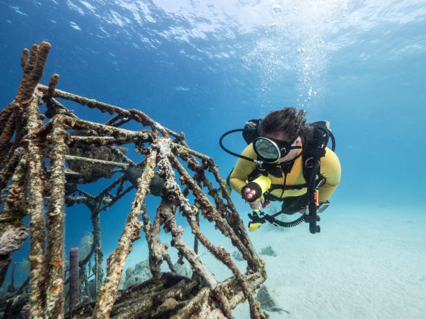 Plane wreck as a part of the coral reef in the Caribbean Sea around Curacao with diver in foreground stock photo