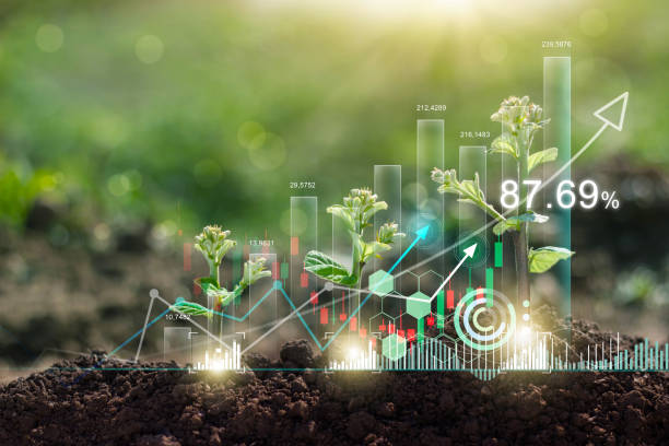 Plant and graph chart growing with shape of arrow, Business investment and  financial, Stock, Business growth, profit, development and success on nature background. stock photo