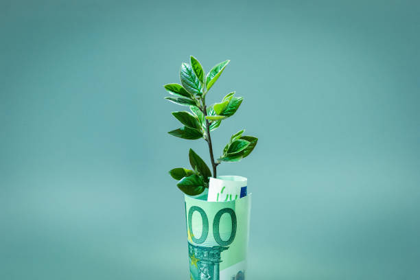 Plant growing in Euro bill for money growth and European economy concept stock photo